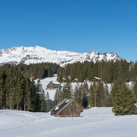 度假居 Chalet Gschwend